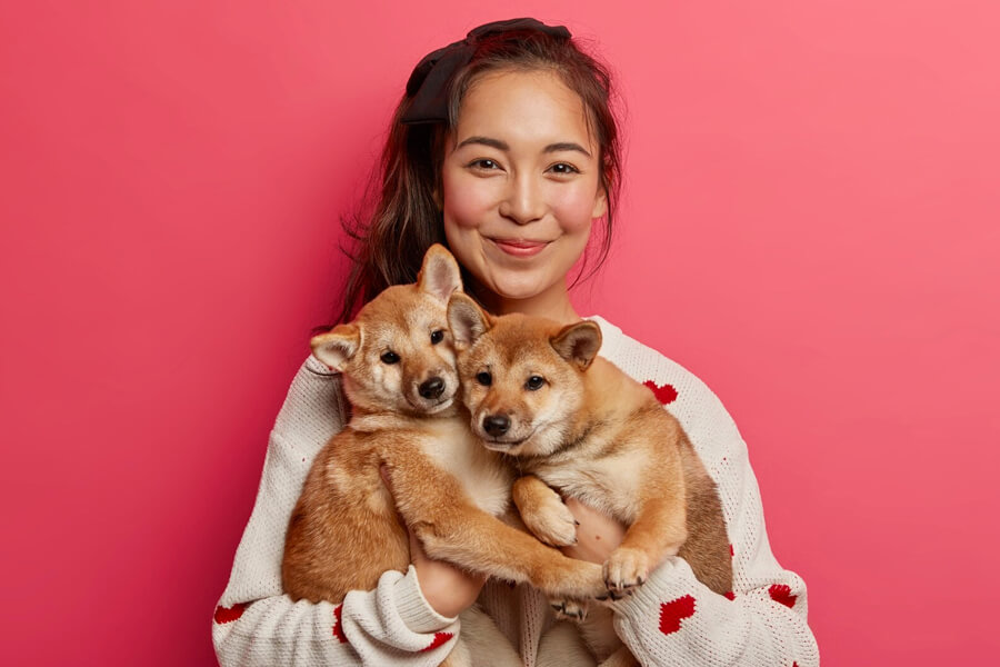 Die richtige Ernährung für Hunde und Katzen – Mehr als nur Futter