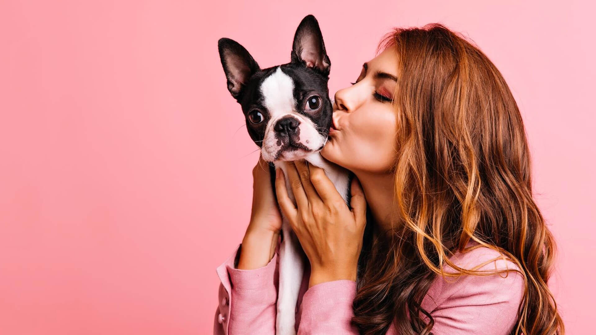 Warum Hausbesuche für Ihr Tier stressfreier sind